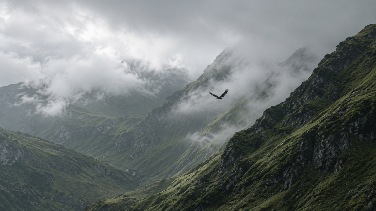 Bird soaring over cloud-covered mountain ridges